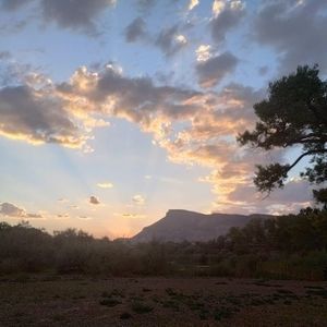 Meet your Posher, Kristin